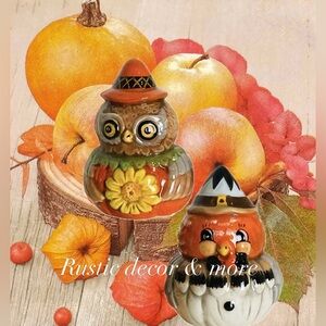 Johanna Parker Turkey and Owl Salt and Pepper Shaker Set